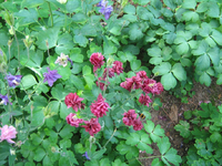 IMG_1794.webp
