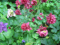 IMG_1795.webp