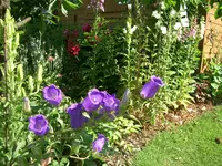 CIMG5955.webp
