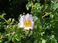 P1060438_600_450.webp
