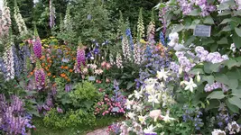 pflanzung (12).webp