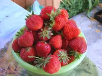 SA500230.webp SA500230.webp