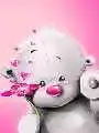 l1ullbbtai[1].webp