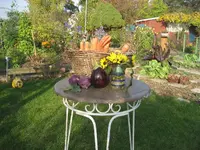 garten 001.webp
