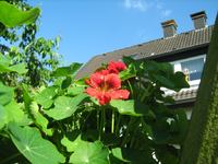 IMG_1780.webp