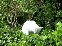PICT0780.webp