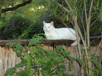 PICT0815.webp