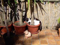 PICT0827.webp
