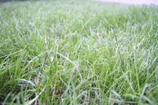 IMG_0863.webp