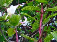 03.06.09 005.webp