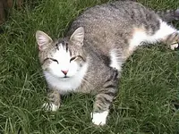 DSC00008.webp