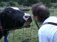 DSC00038.webp DSC00038.webp