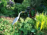 102_4546.webp