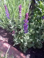 HNI_0026.webp