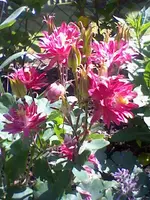 HNI_0029.webp