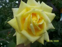 100_1787.webp