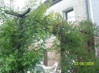 100_1789.webp