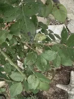 Foto009.webp
