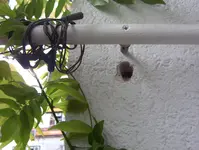 100_0859.webp
