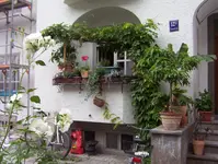 100_0863.webp