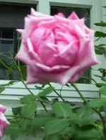 100_0864.jpg