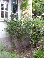 100_0865.webp