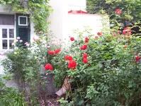100_0870.webp