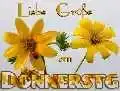 bqhhczsvhj[1].webp