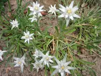 Bild 034.webp