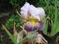IMG_ulihard2_1024x768.webp