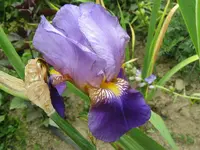 IMG_gegenüber_1024x768.webp