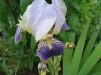 IMG_bei minze_1024x768.webp