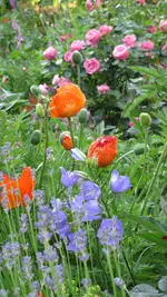 ab10.webp