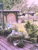 Garten 06-9.webp