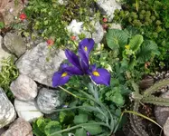 P1060465_600_483.webp