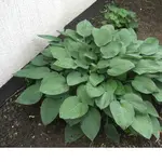 CIMG1322.webp