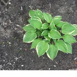 CIMG1323.webp