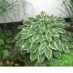 CIMG1324.webp