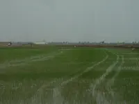 R0010527.webp