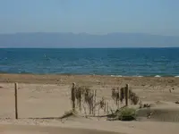 R0010624.webp