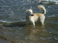 R0010628.webp