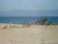 R0010642.webp