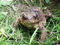 2092.webp
