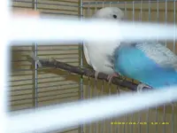 Kuschelstunde.webp