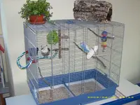 Vogelkäfig.webp