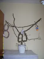 Wellibaum.webp