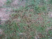 DSCF1024.webp