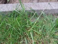 DSCF1021.webp