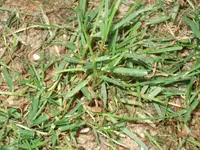 DSCF1025.webp