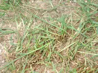 DSCF1026.webp